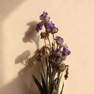 我只是看上去大方