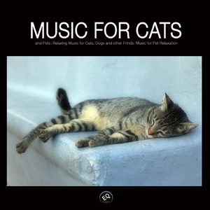 Music for Cats 4