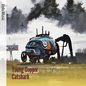 Young Copper Catshark