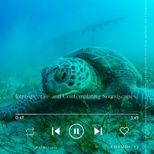 Wildlife's Digital Orchestra - Cricket Sounds, Pt. 97