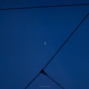 love is gone 吉他版