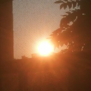 反乌托邦(钢琴)