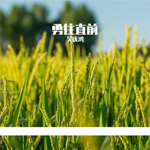 《勇往直前》