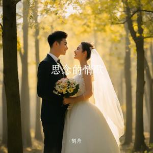 思念的情歌