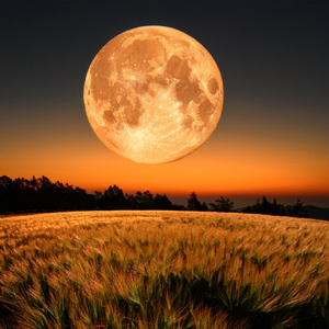 Melodías Nocturnas Que Calman Profundamente