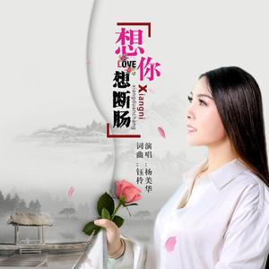 想你想断肠【杨美华版】