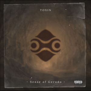 Sense Of Gerudo