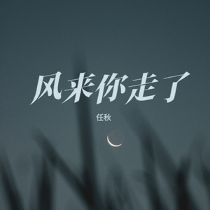 风来你走了