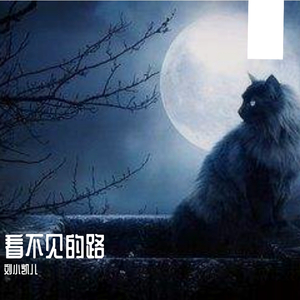 看不见的路MP3