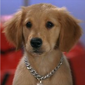 december samples 2k19