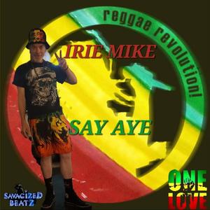 Say Aye