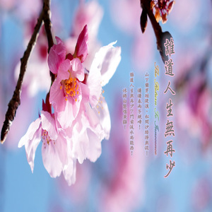 休将白发唱黄鸡