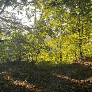 до хмар і до хвиль