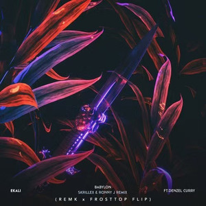 Babylon (Skrillex & Ronny J Remix) [RemK x FrostTop Flip]
