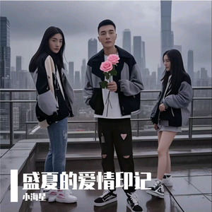 盛夏的爱情印记