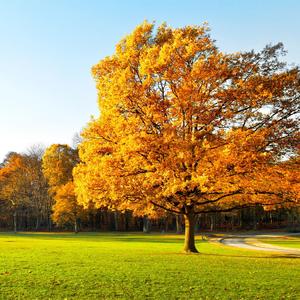 这种感觉Rought Mix