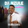 Dj Nzule aka Majimiza - NGINGAKUSHOVELA UKUTHI (feat. INDLOVUKAZI)