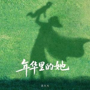 年华里的她 (DJ廖廖版)0.9x版