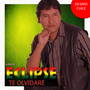Te Olvidaré (En Vivo Chile)