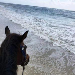 sea of stars（remix）