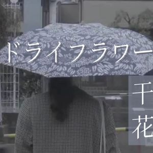 ドライフラワー (干花)