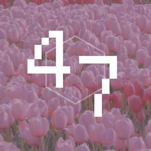 47（Prod.by Jungle Fruit)