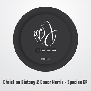 Mad Vision (Original Mix)