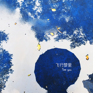 飞行梦里