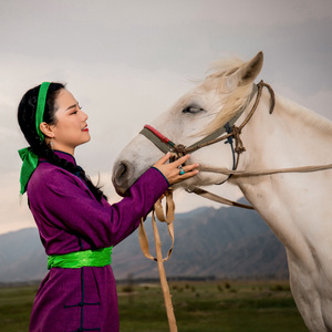 蒙古马-阿木古楞