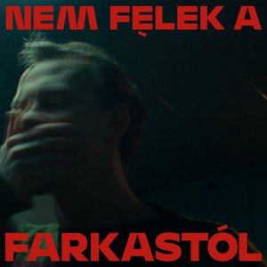 Nem félek a farkastól