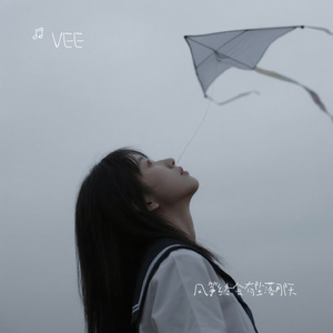 风筝终会有坠落那天