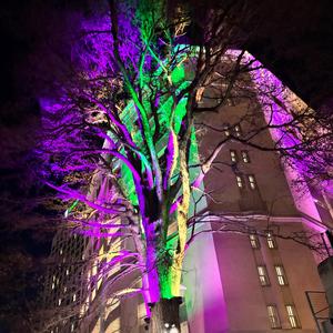 Testing (Bonus Track)