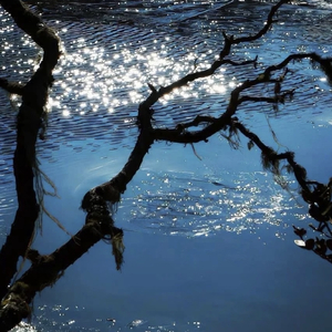 爱不用攀比伤害