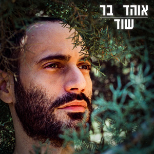 שוד