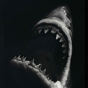 Lil Nas - OLD TOWN ROAD