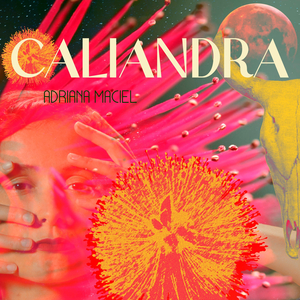 Caliandra