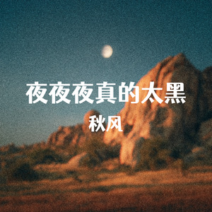 夜夜夜真的太黑