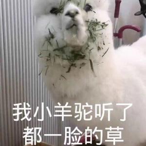 归去来兮（翻自 花粥）