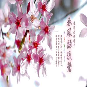 北斗望月 (加长版)