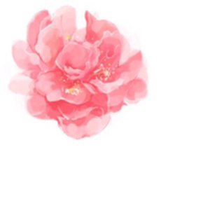 桃花诺 (翻自 G.M.E邓紫棋)