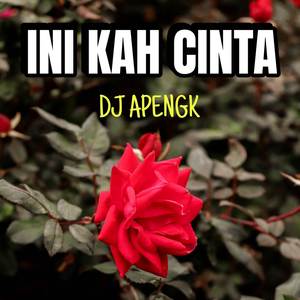 INIKAH CINTA