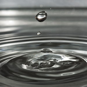 Rain in a Barrel