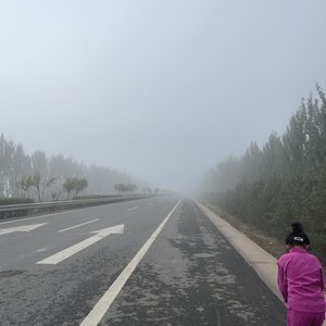 雷特大叔-红雪莲