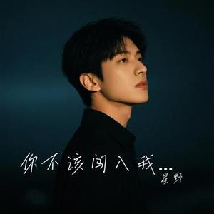 你不该闯入我心中