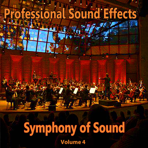 Symphony of Sound Professional Sound Effects 4107