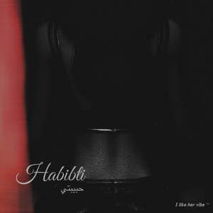 Habibti. (feat. I like her vibe)