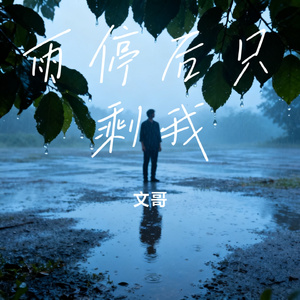 雨停后只剩我