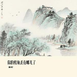 你的棱角丢在哪儿了 (青柠 Remix)