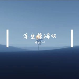 浮生惊鸿叹