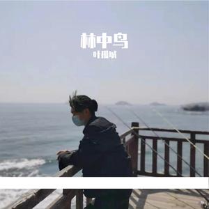 林中鸟